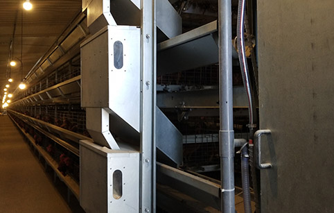 Feeding System