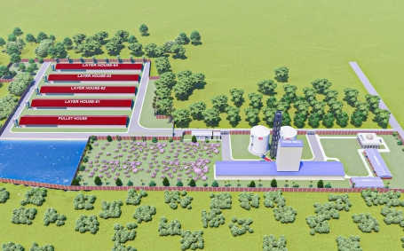 Poultry Farm Design
