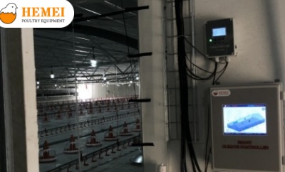 On-line technical support for poultry broiler equipment installation